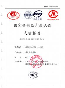 GGD檢驗報告第1頁