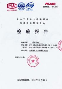 產(chǎn)品檢驗報告